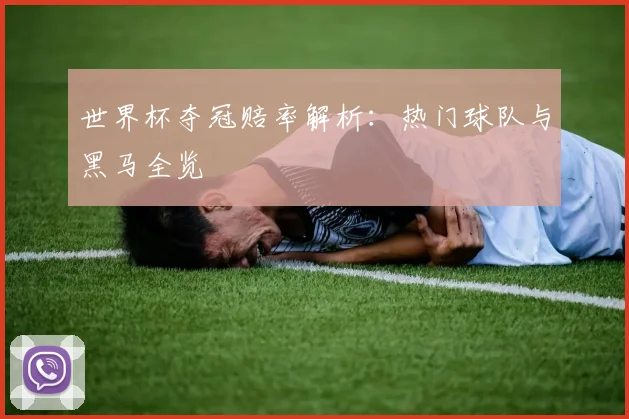 世界杯夺冠赔率解析：热门球队与黑马全览