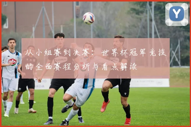 从小组赛到决赛：世界杯冠军竞技的全面赛程分析与看点解读