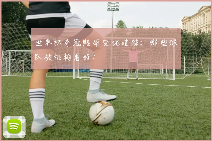 世界杯夺冠赔率变化追踪：哪些球队被机构看好？