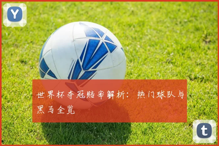 世界杯夺冠赔率解析：热门球队与黑马全览
