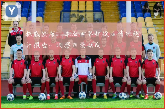 权威发布：本届世界杯投注情况统计报告，洞察市场动向