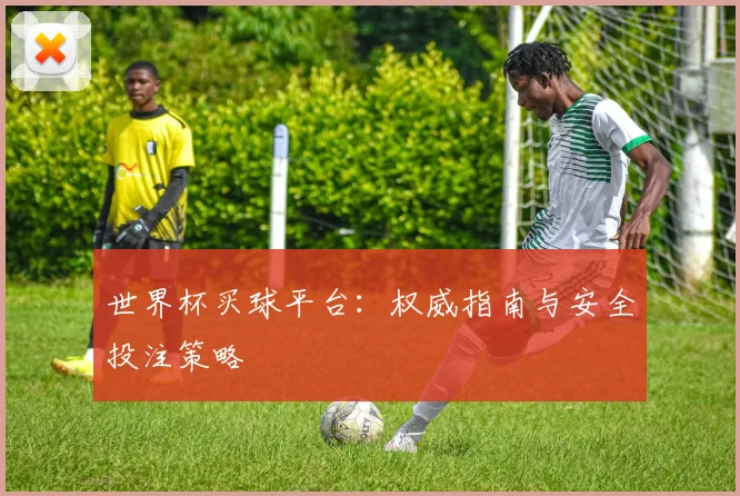 世界杯买球平台：权威指南与安全投注策略