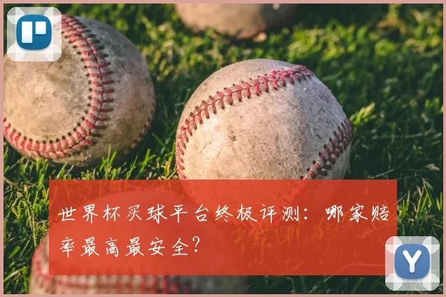 世界杯买球平台终极评测:哪家赔率最高最安全?