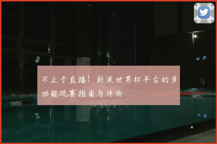 不止于直播！新浪世界杯平台的多功能观赛指南与评价