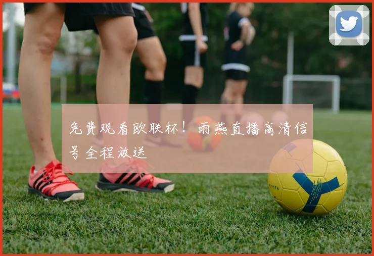 免费观看欧联杯！雨燕直播高清信号全程放送