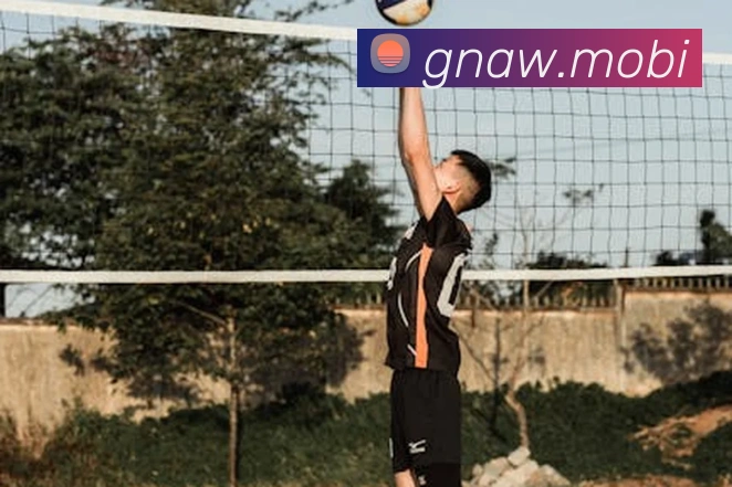 必一运动体育官网平台生态图